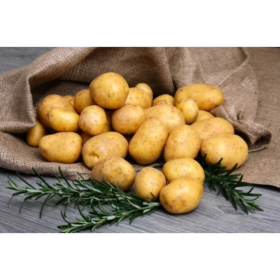 Удобрение для картофеля 1КГ