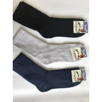 Носки Термо махра мужская 42-45 . Цвет : ассорти ( без надписей )