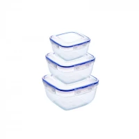 НАБОР КВАДРАТНЫХ ГЕРМЕТИЧНЫХ КОНТЕЙНЕРОВ (3 ШТ.: V 500, 900, 1500 МЛ)