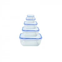 НАБОР ПРЯМОУГОЛЬНЫХ ГЕРМЕТИЧНЫХ КОНТЕЙНЕРОВ (5 ШТ: V 400, 800, 1400, 2300, 4000 МЛ)