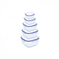 Набор квадратных герметичных контейнеров (5 шт: V 275, 500, 900, 1500, 2400 мл)