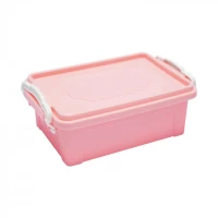Цветной контейнер 300*200*95 мм (V 3,75 л)