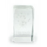 Параллелограмм хрустальный с голограммой (5х8CM)