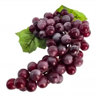 Виноградная гроздь (30х10х7 см)