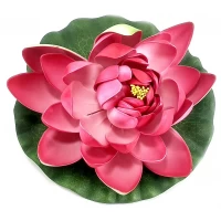 Цветок лотоса плавающий красный (20 см)