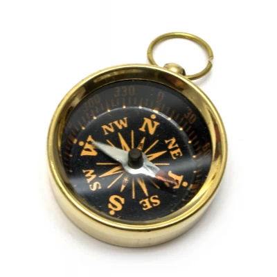 Компас бронза (d-3.5 ,h-1.5 см) Компас бронза (d-3.5 ,h-1.5 см)