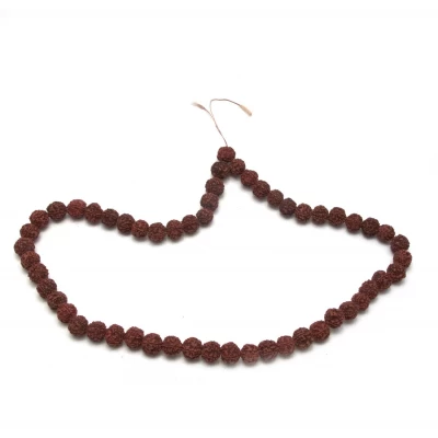 Четки из рудракши (44 см)(54 бусины)(бусина d-1,7 см) Четки из рудракши (44 см)(54 бусины)(бусина d-1,7 см)