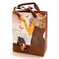 Пакет подарочный картон Туфельки (14х7х17 см)