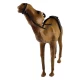 Верблюд кожанный (28х33х10 см)