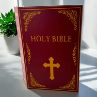 Книга- сейф Holy Bible (24,5х16х5,5 см)