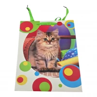 Пакет подарочный картонный Котенок (32х26х10 см)