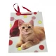 Пакет подарочный картонный Котенок (32х26х10 см)