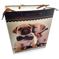 Пакет подарочный картонный Кошки и Собаки (30х38х12 см)