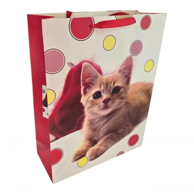 Пакет подарочный картонный Котенок (30х38х12 см) Пакет подарочный картонный Котенок (30х38х12 см)