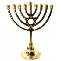 Подсвечник Ханукия  бронзовый (21х16,5х8,5 см)(515 г.)
