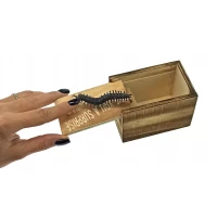 Сколопендра в коробке (9,5х6х6,5 см)