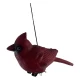 Музыка ветра  Кардинал (83х 15х 8 см)