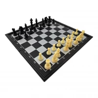 Магнитные шахматы Игра разума