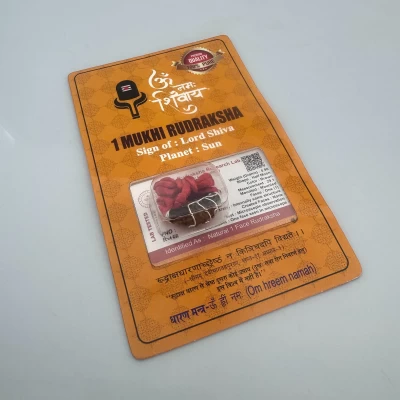 Амулет-талисман Рудракша 1 Мукхи (1 Лик) Амулет-талисман Рудракша 1 Мукхи (1 Лик)