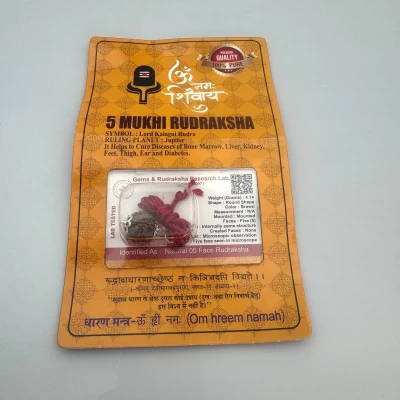 Амулет-талисман Рудракша 5 Мукхи (5 Ликов)