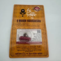 Амулет-талисман Рудракша 8 Мукхи (8 Ликов)