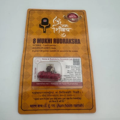 Амулет-талисман Рудракша 8 Мукхи (8 Ликов)