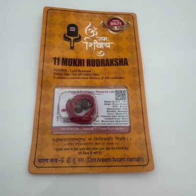 Амулет-талисман Рудракша 11 Мукхи (11 Ликов)