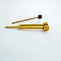 Камертон с регулируемыми грузами в золотистом цвете с молоточком и ключом