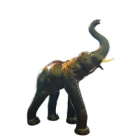 Слон кожа (36)