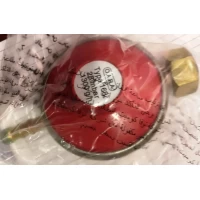 Редуктор для Газовых баллонов РДСГ-1,2.