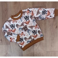 Джемпер 3-х нитка с начесом Ткань Турция  Разм 28-34