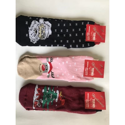 Носки Житомир ликра хлопок махра женская 35-41 Ражик . Цвет : ассорти