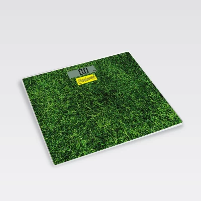 Электронные персональные весы Maestro MR-1824