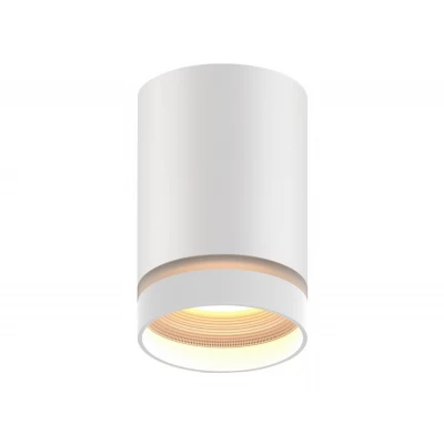 Акцентный светильник Luxel GU10 IP20 белый (DLD-06W)