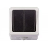 Блок двойной выключатель Luxel DEBUT (6503)