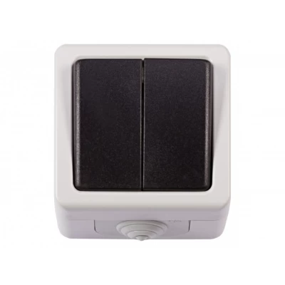 Блок двойной выключатель Luxel DEBUT (6503)