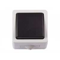 Блок выключатель одинарный Luxel DEBUT (6502)