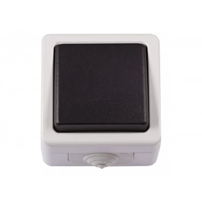 Блок выключатель одинарный Luxel DEBUT (6502) Блок выключатель одинарный Luxel DEBUT (6502)