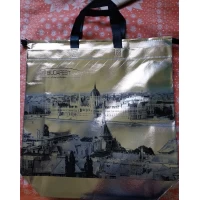 Сумка спанбонд ламинированная на молнии 41×35×12см Сумка спанбонд ламинированная на молнии 41×35×12см