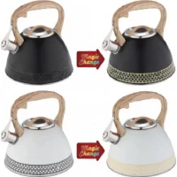 Чайник EDENBERG EB-8809 3.00 л