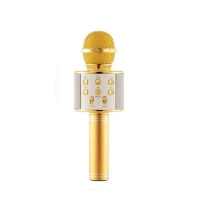 Микрофон WS-858 WSTER GOLD Микрофон WS-858 WSTER GOLD