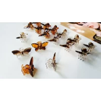 Краб бабочка, 2 см