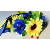 Обруч Украиночка