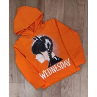 Худи 2-х нитка подросток Полотно производитель Турция Разм 32-40