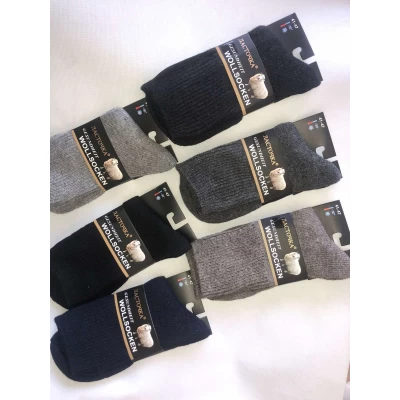 Носки ЛАСТОЧКА шерсть мужская 41-47 . Цвет :  ассорти