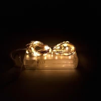 Гирлянда-роса (Copper Wire) 50WW-1 внутренняя, пров.:прозрачный, 5м (Белый-теплый)