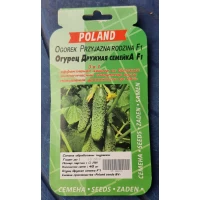 Семена огурец Дружная Семейка F1 (40 шт )	