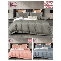 Постельный комплект Евро Мокрый шелк	