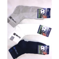 Носки Житомир ликра хлопок 42-45 Спортивные мужские сетка поверху, Цвет: ассорти.