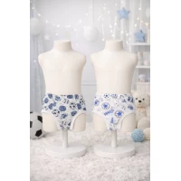 Трусы для мальчиков (кулир).Артикул: 0008,размеры 26-34 Трусы для мальчиков (кулир).Артикул: 0008,размеры 26-34